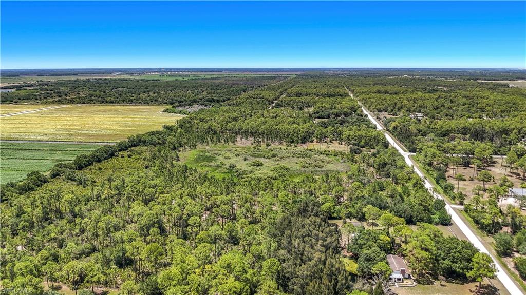 PIONEER PLANTATION - Land