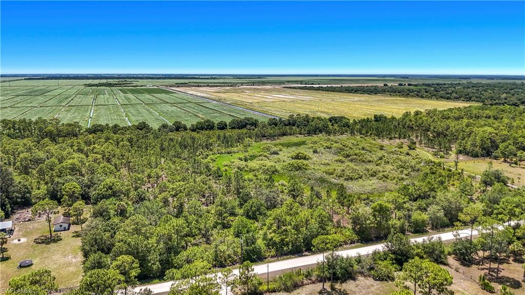 PIONEER PLANTATION - Land