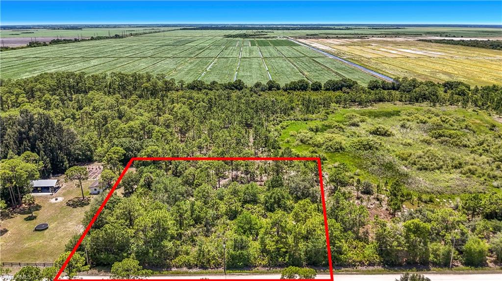 Escape to Your Private Florida Sanctuary on this Buildable Homesite in Pioneer Plantation in Clewiston.
Discover peaceful country living with exceptional privacy and room to create your dream retreat, this blank-canvas property is perfect for building your custom home with plenty of space left for an extra garage, workshop, expansive outdoor living areas, a private pool, lush gardens, and fruit trees—ideal for embracing a sustainable, self-sufficient lifestyle. Enjoy complete freedom with no HOA restrictions—live life on your own terms. Whether you’re keeping horses, adding an ADU (for generational living) or designing your perfect setup, the possibilities are endless here. This “best-kept secret” location sits just outside Clewiston, with easy access to world-class fishing on Lake Okeechobee, known for some of the finest bass and freshwater angling in the country. A recent Informal wetland mitigation available upon request. A rare opportunity to own affordable acreage in a quiet, growing Hendry County community. Don’t miss your chance to build the Florida lifestyle you’ve been dreaming of!