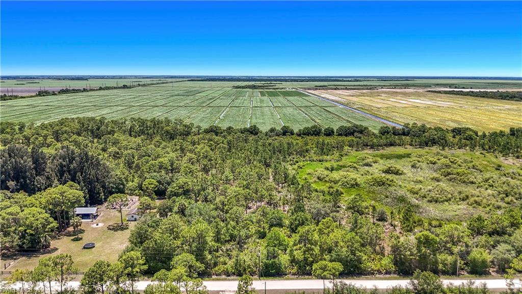 PIONEER PLANTATION - Land