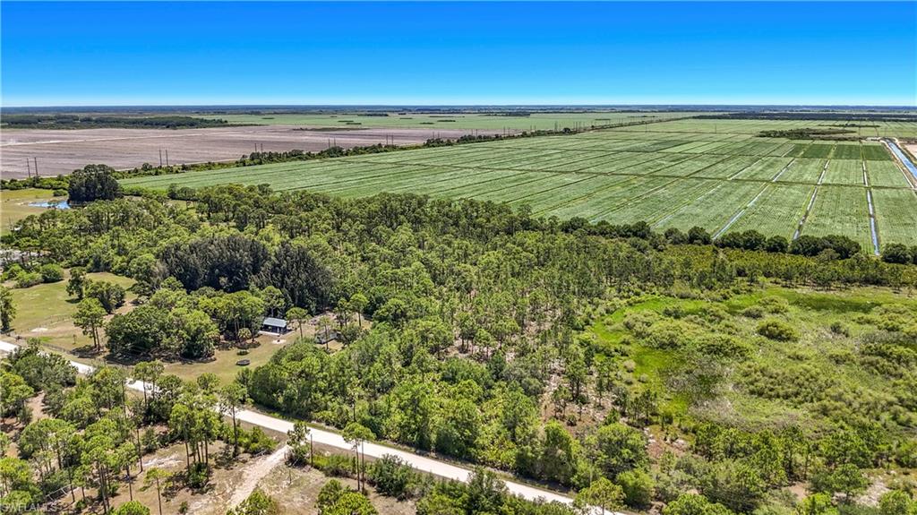 PIONEER PLANTATION - Land