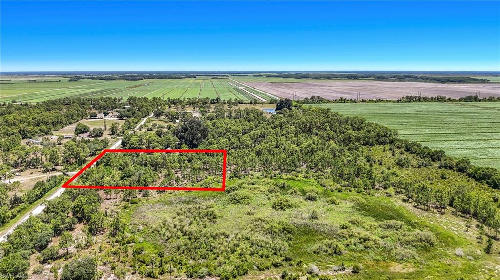 PIONEER PLANTATION - Land