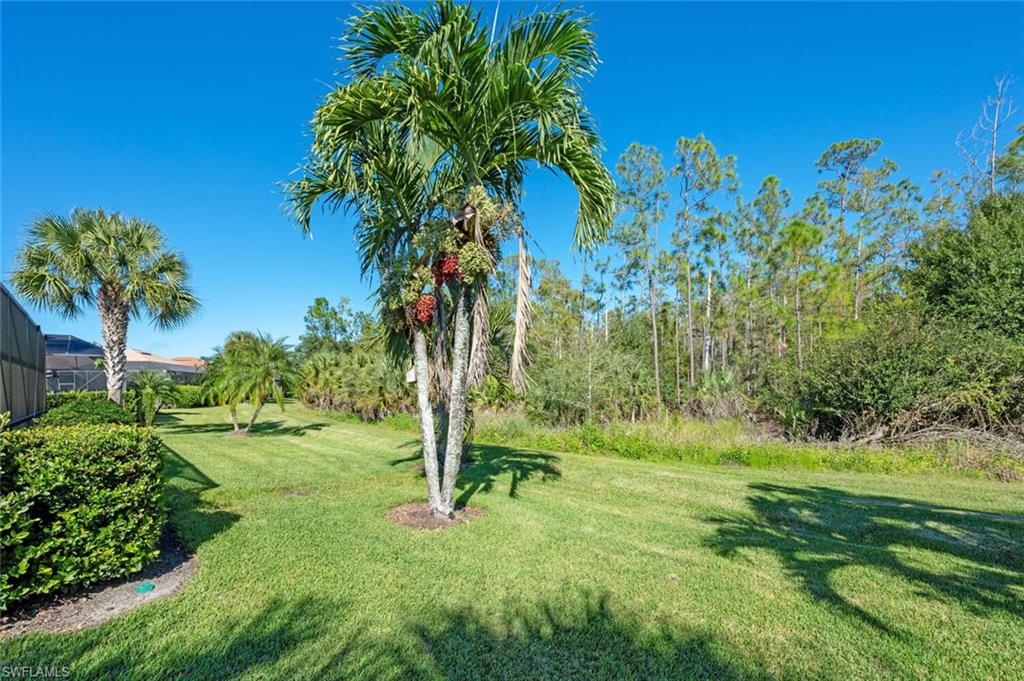 BRIDGETOWN - Residential