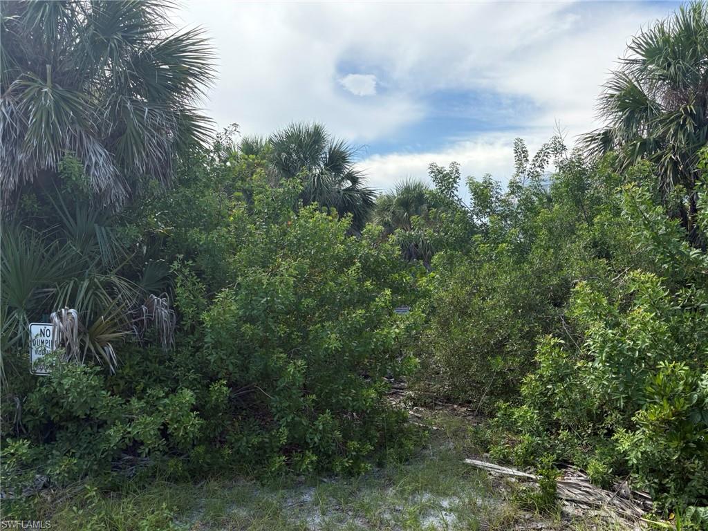 CASTAWAY KEY UNRECORDED SUBDIVISION - Land