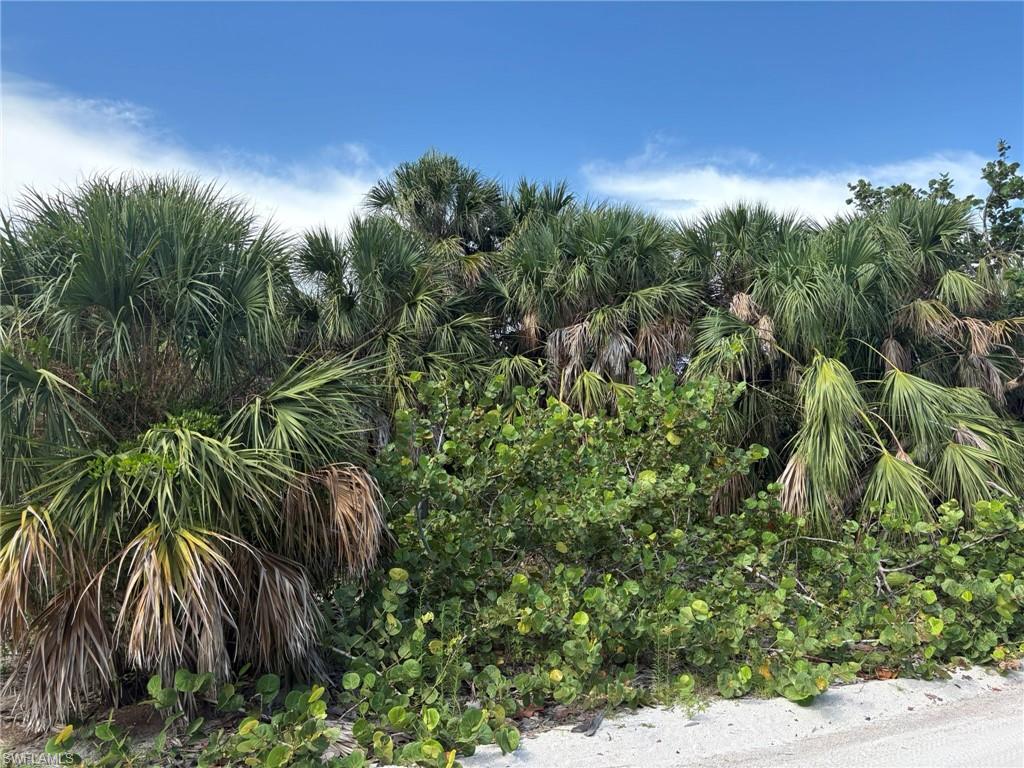 CASTAWAY KEY UNRECORDED SUBDIVISION - Land