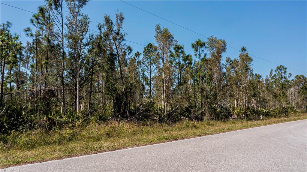 TROPICAL GULF ACRES - Land