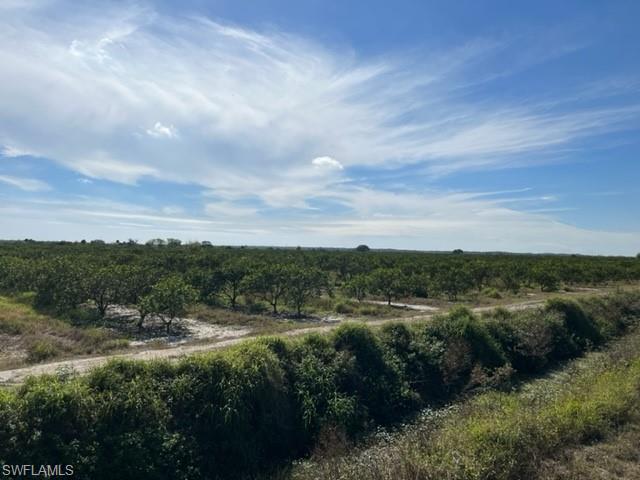 PUNTA GORDA - Land