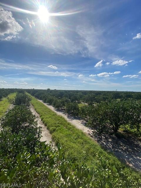 PUNTA GORDA - Land