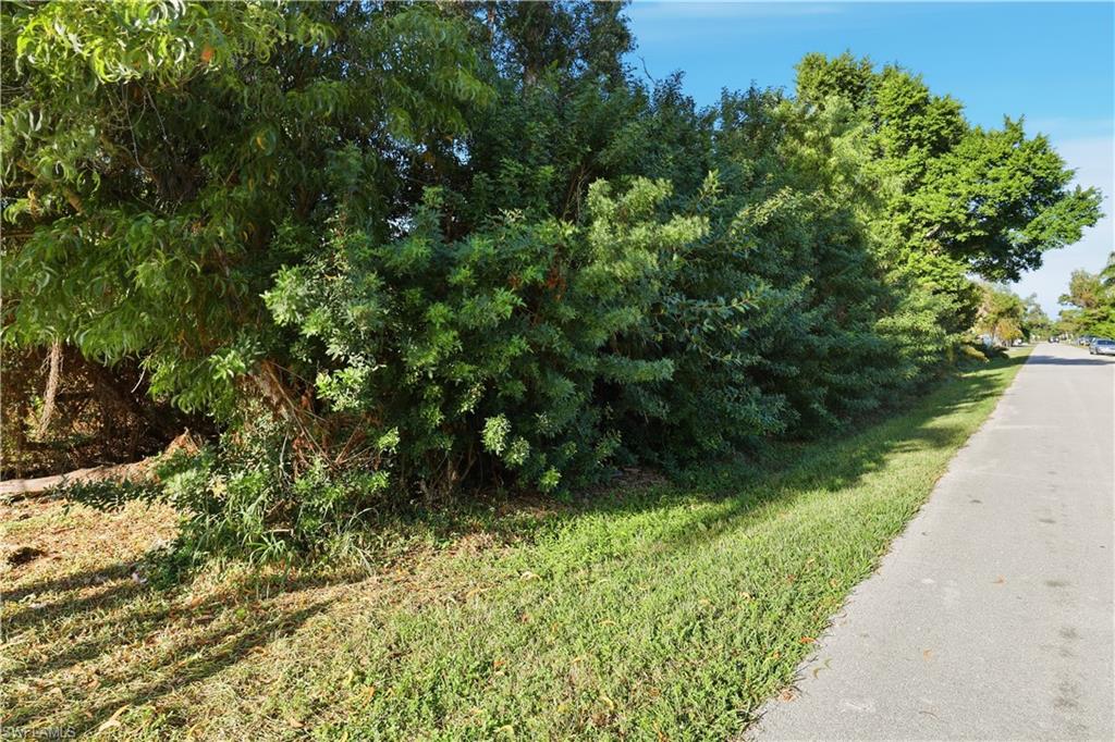 PINE ISLAND CENTER - Land
