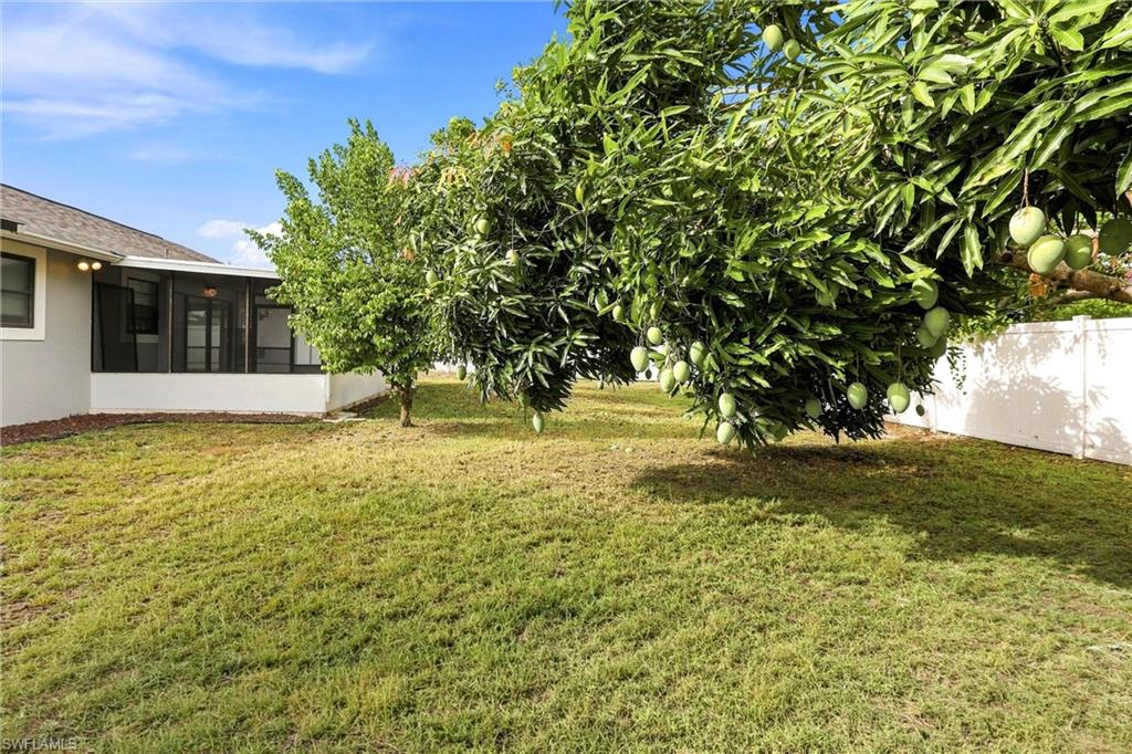 SAN CARLOS PARK - Residential