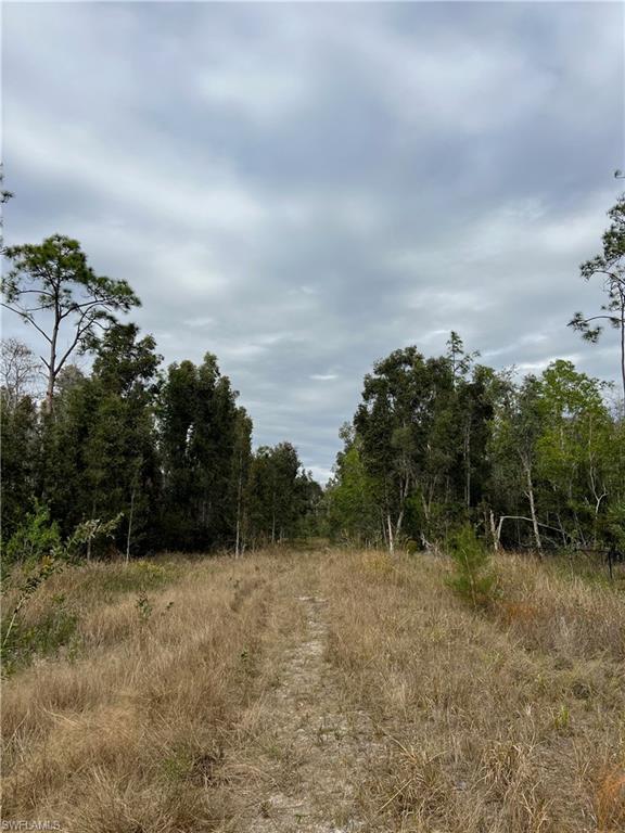SAN CARLOS ESTATES - Land