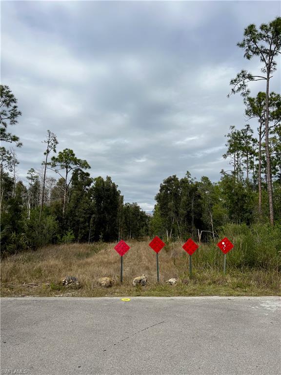 PRICE TO SELL! Rare opportunity to build a custom estate residence on this 1.25-acre homesite located in the highly sought-after San Carlos Estates, surrounded by established multi-million-dollar luxury homes and expansive estate properties. An Environmental Assessment Report is available for full disclosure. Pricing reflects current wetland considerations, offering exceptional value in one of Bonita Springs’ most desirable acreage communities. Ideally positioned between Interstate 75 and U.S. 41, this premier location provides convenient access to Southwest Florida’s top destinations. Just minutes to Bonita Beach, upscale dining and shopping at Coconut Point, and travel convenience via Southwest Florida International Airport. A rare blend of privacy, scale, and location—ideal for a custom luxury estate in one of Southwest Florida’s premier residential enclaves. 

Approximately 1.16 acres are wetlands, which 0.33 acres can be mitigated for building purposes. Permitting and mitigation costs are estimated at approximately $55K based on available information. Costs are subject to change depending on the permitting requirements and market conditions at the time of development.