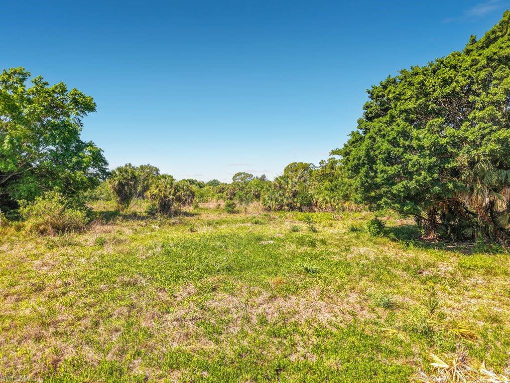 ACREAGE HEADER - Land