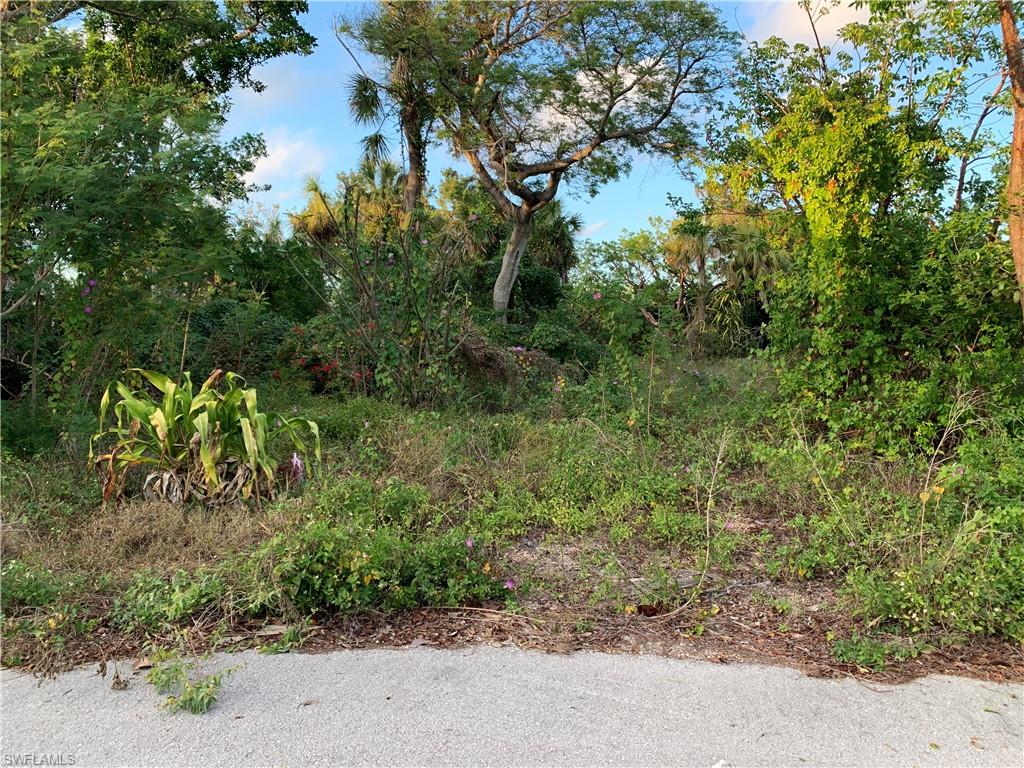 SANIBEL BAYOUS - Land
