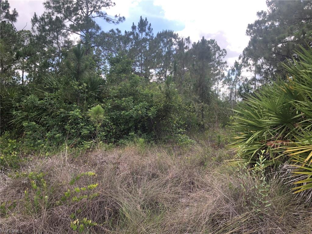 LEHIGH ACRES - Land