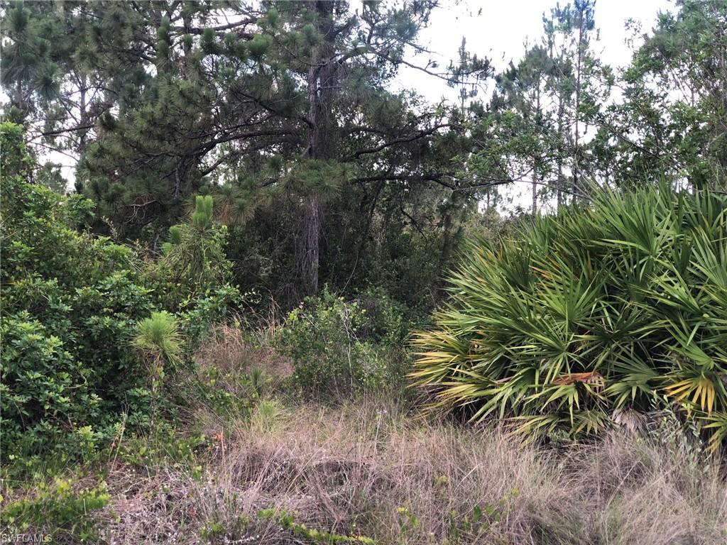 LEHIGH ACRES - Land