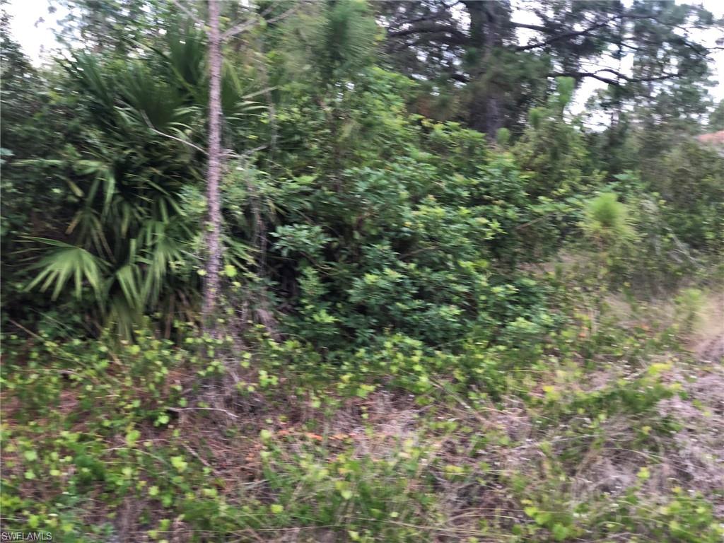 LEHIGH ACRES - Land