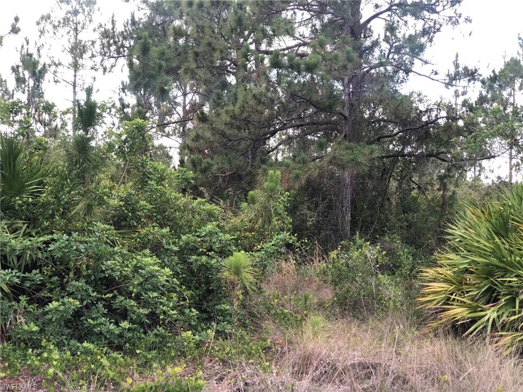 LEHIGH ACRES - Land