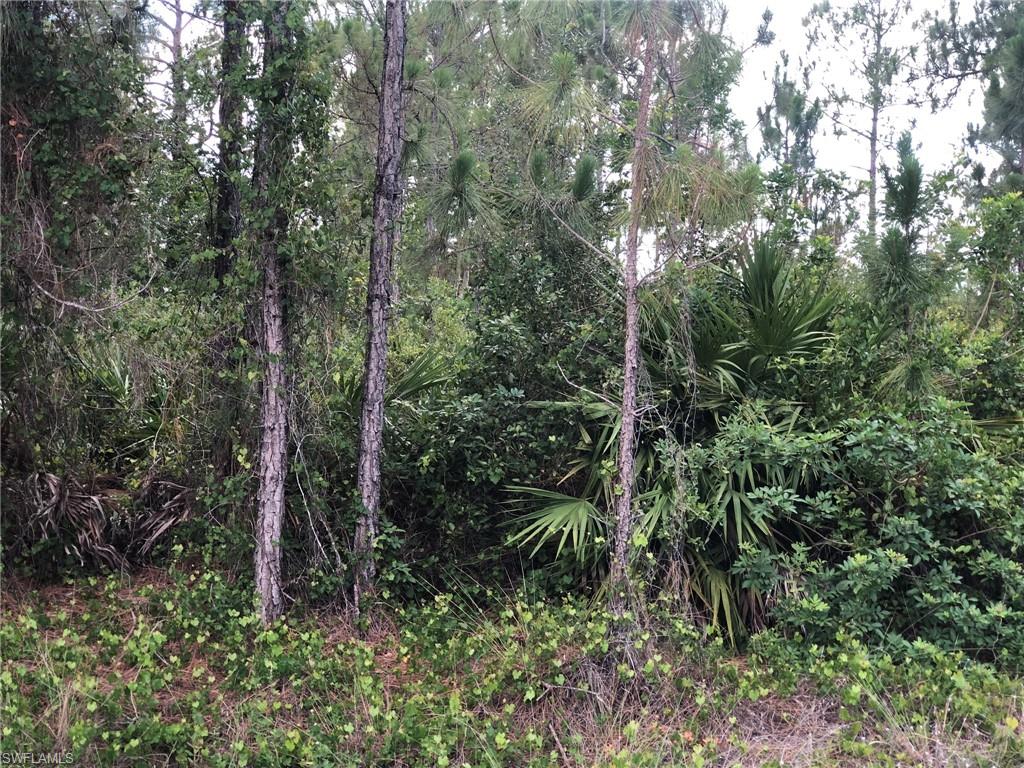 VACANT LOT! No HOA, No Restrictions, Low Taxes. Half-acre footprint in the heart of Lehigh Acres offers the kind of space to design your custom home with room for a pool, detached garage, or outdoor living space.

Surrounded by new housing construction and rapid, developing growth. Minutes from Ft Meyers. Discover new ways to enjoy the year round Florida weather without the long commute. Robust shopping at the Forum 15, community pool, athletic fields, fine dining and RSW International Airport are all within 15 minutes.  Amazing opportunity.