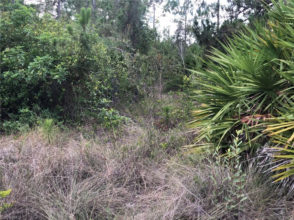 LEHIGH ACRES - Land