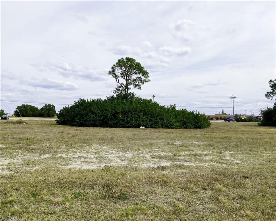 CAPE CORAL - Land