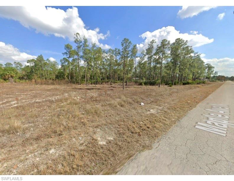 LEHIGH ACRES - Land