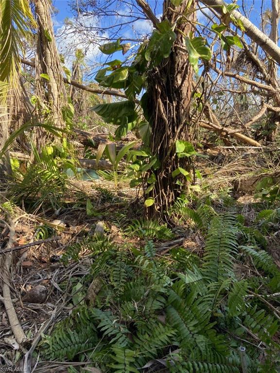PINE ISLAND TROPICAL HOMESITES - Residential