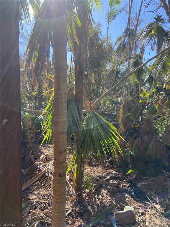 PINE ISLAND TROPICAL HOMESITES - Residential
