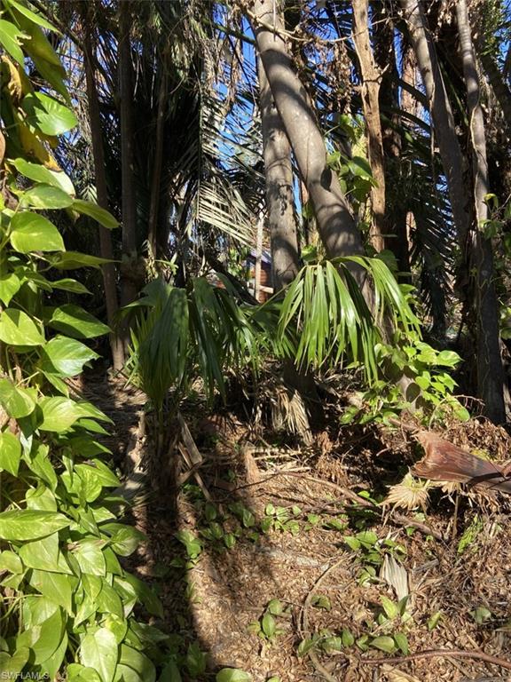 PINE ISLAND TROPICAL HOMESITES - Residential