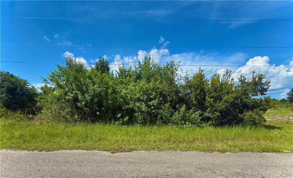 LEHIGH ACRES - Land