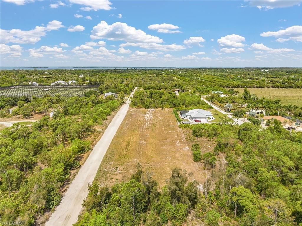 KREAMERS AVOCADO SUBD - Land
