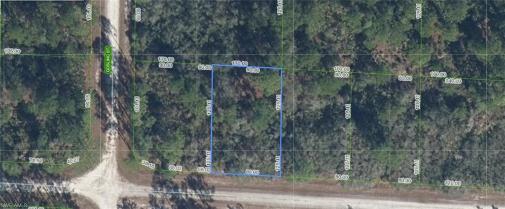 A VACANT LOT IN LAKE PLACID IN HIGHLANDS COUNTY!!!