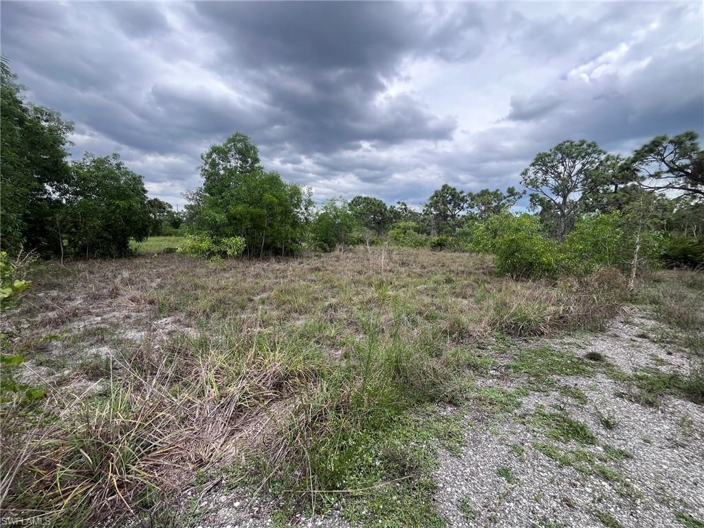 ACREAGE - Land