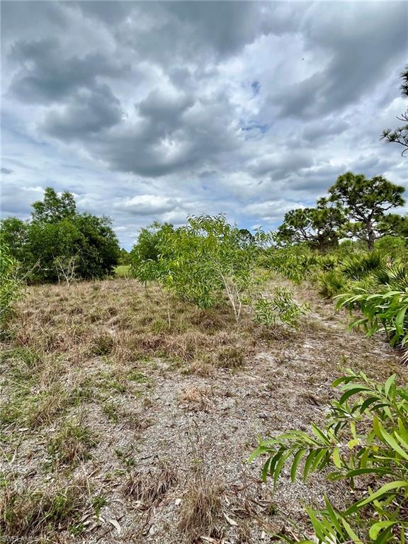ACREAGE - Land