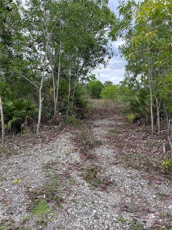 ACREAGE - Land