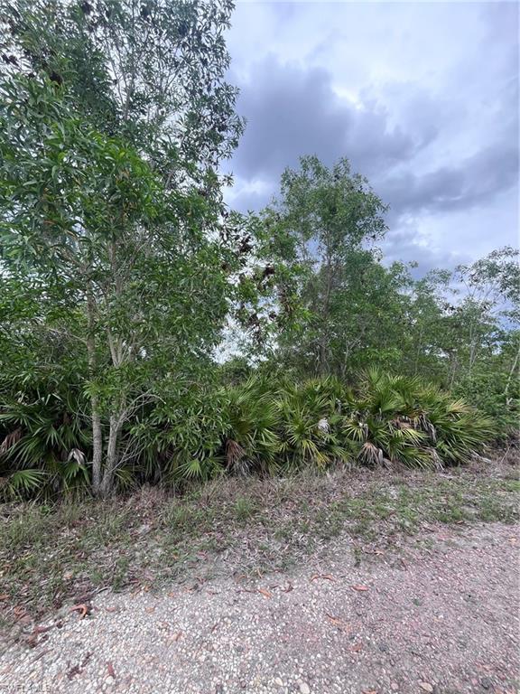 ACREAGE - Land