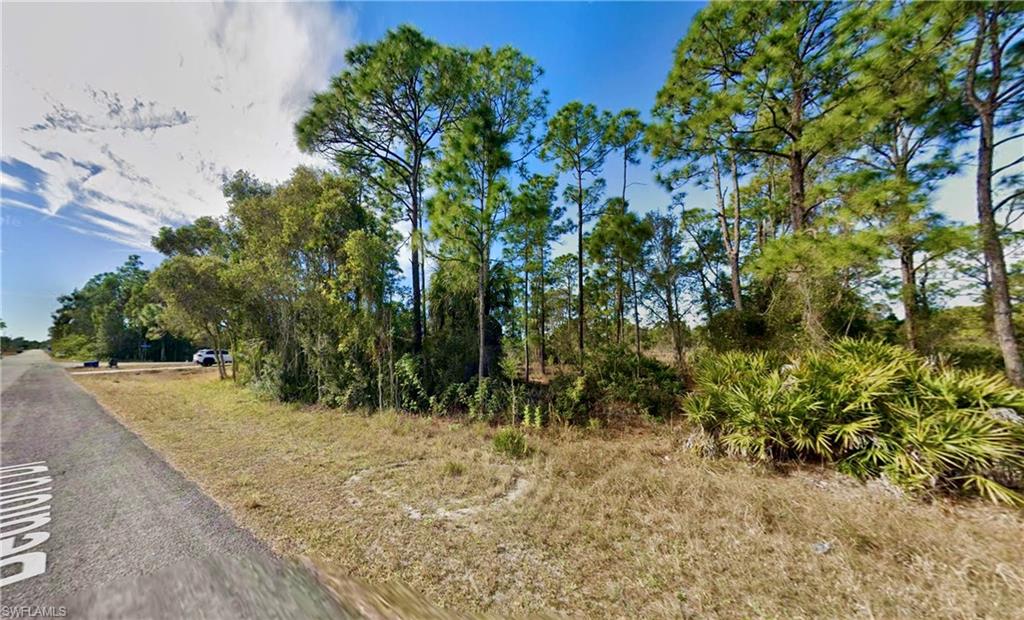 LEHIGH ACRES - Land