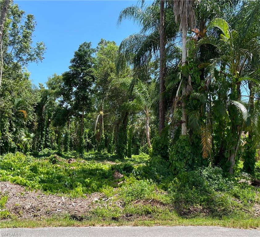 TRAIL ACRES - Land