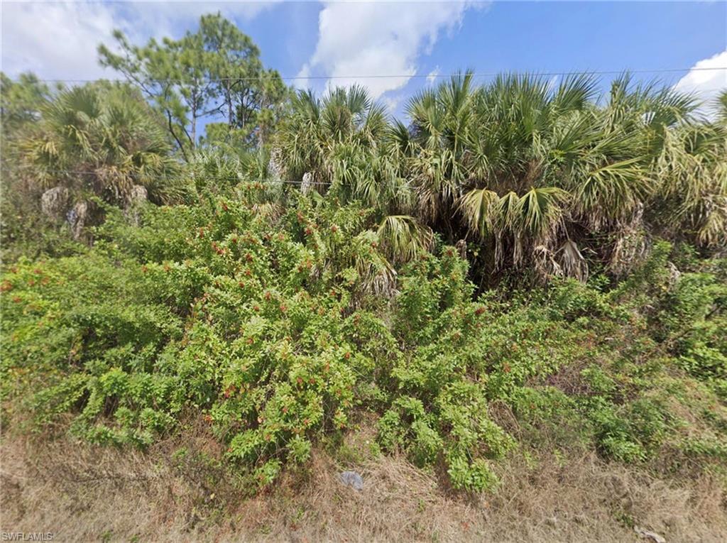 LEHIGH ACRES - Land