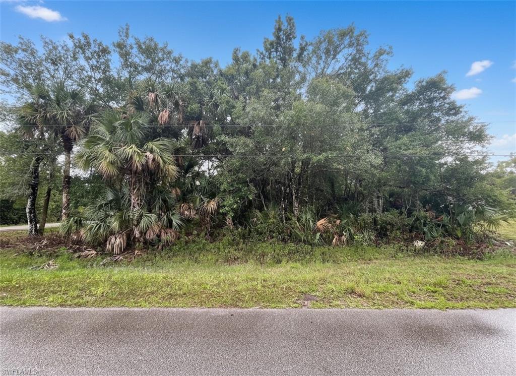 Build your dream home on 1.14 acres of private, estate-style land surrounded by natural beauty in Golden Gate Estates. This property offers ample space, mature vegetation, and a tranquil setting that creates the perfect backdrop for your custom residence. Enjoy the peace and privacy of a more expansive homesite while still benefiting from convenient access to Collier Blvd, shopping, dining, and local schools. Whether you're envisioning a private retreat or a full-time residence, this property presents an exceptional opportunity to create your own slice of Southwest Florida living.