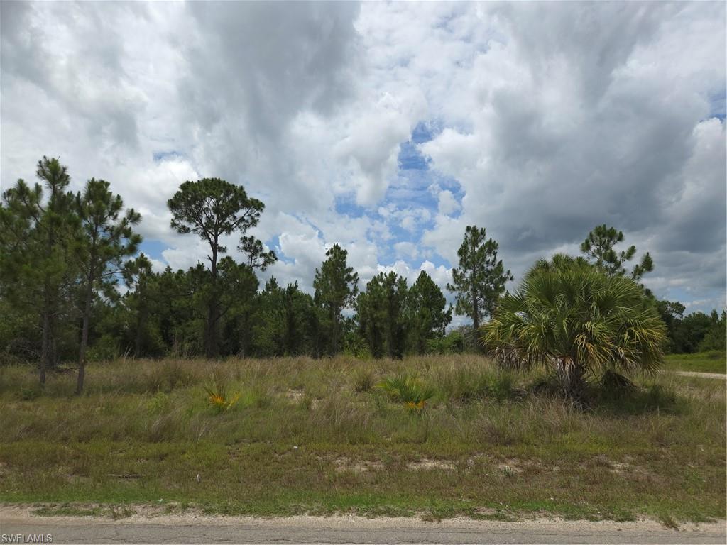 Build your dream home on this oversized residential lot in the growing Northeast Lehigh Acres area. Conveniently located with easy access to shopping, dining, schools, parks, and major roadways while still offering plenty of privacy and room to spread out. Zoned RS-1 for single-family residential use. Whether you're looking to build now or invest for the future, this property presents an excellent opportunity in a rapidly developing area of Southwest Florida. Seller is motivated and welcomes all reasonable offers.