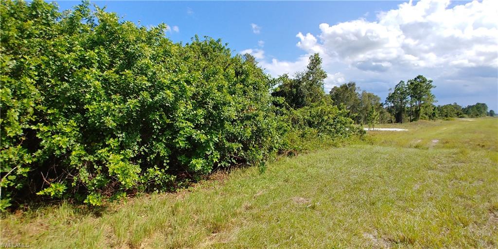 LEHIGH ACRES - Land