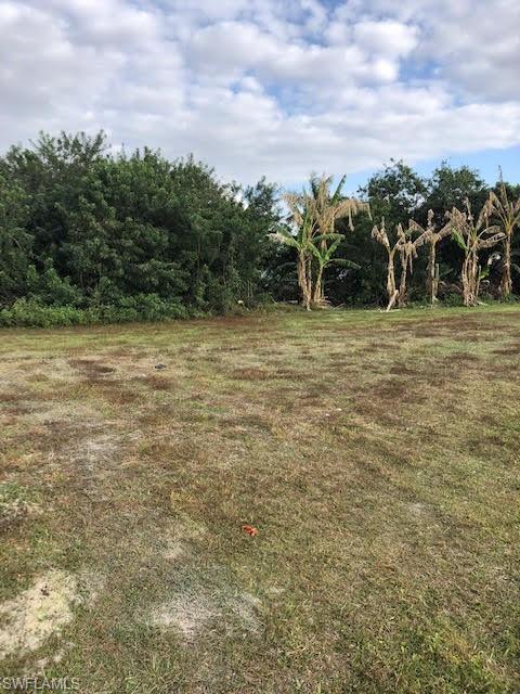 CAPE CORAL - Land