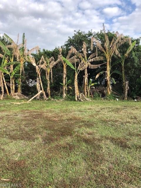 CAPE CORAL - Land