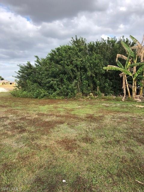 CAPE CORAL - Land