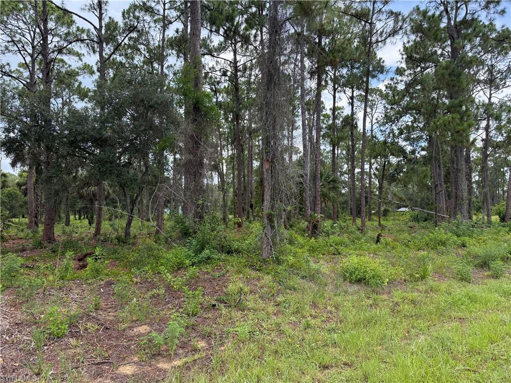 LEHIGH ACRES - Land