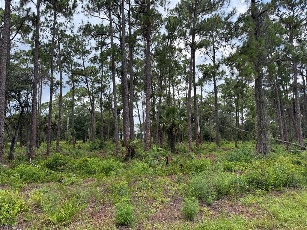 LEHIGH ACRES - Land