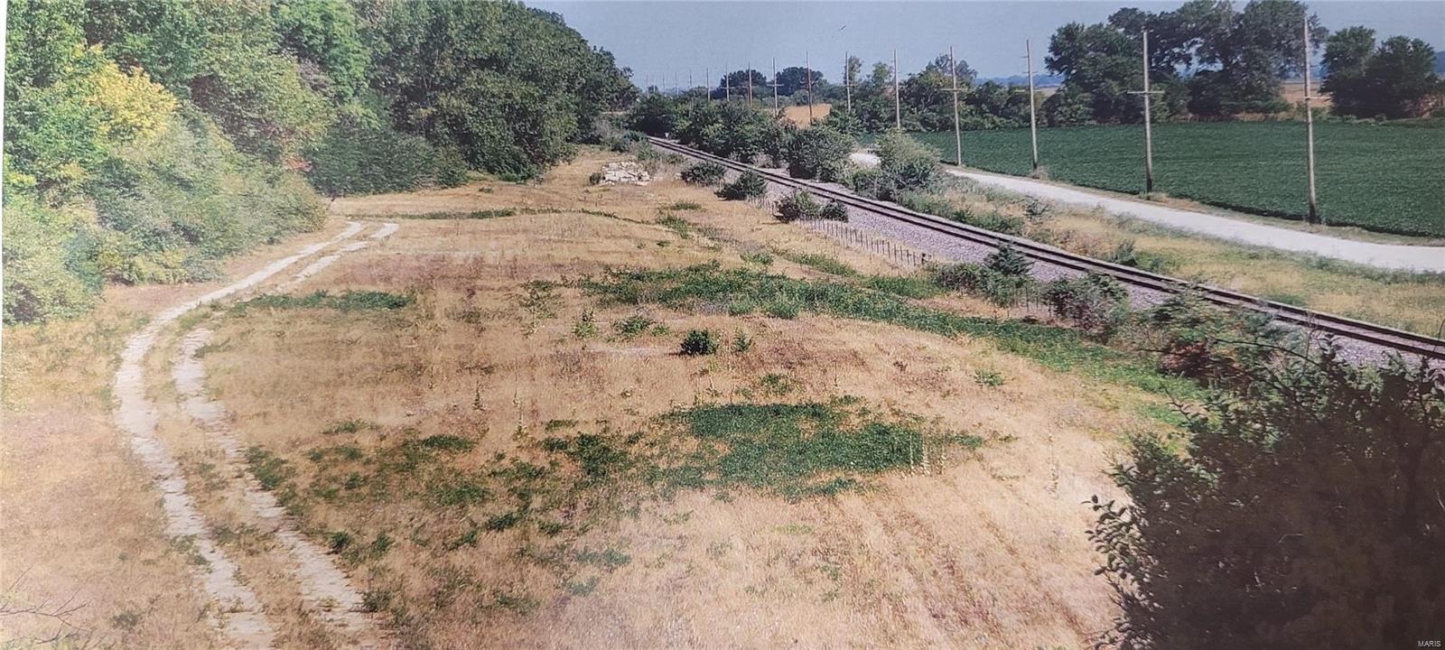 Excellent 156 acres bottom crop ground