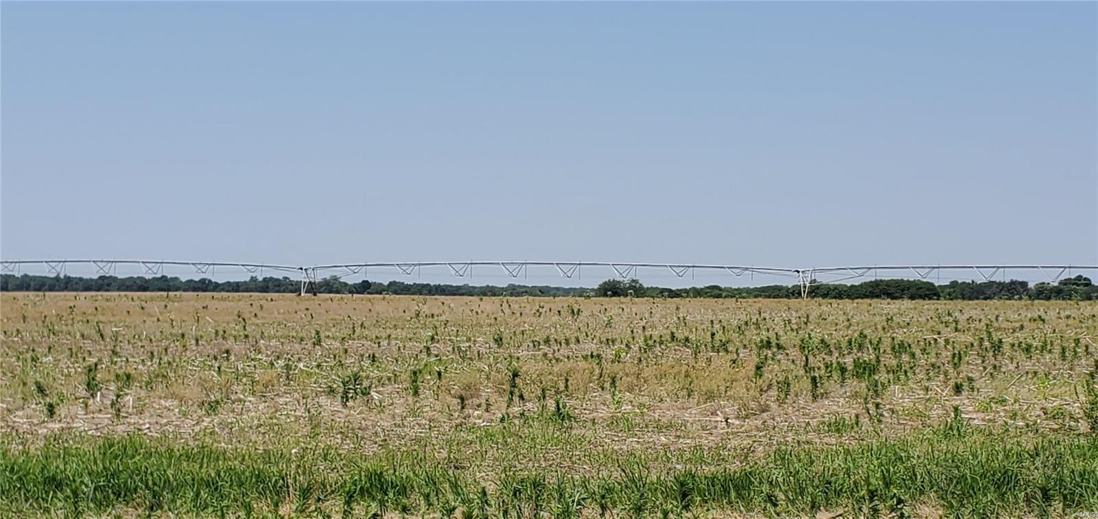 None - Farm