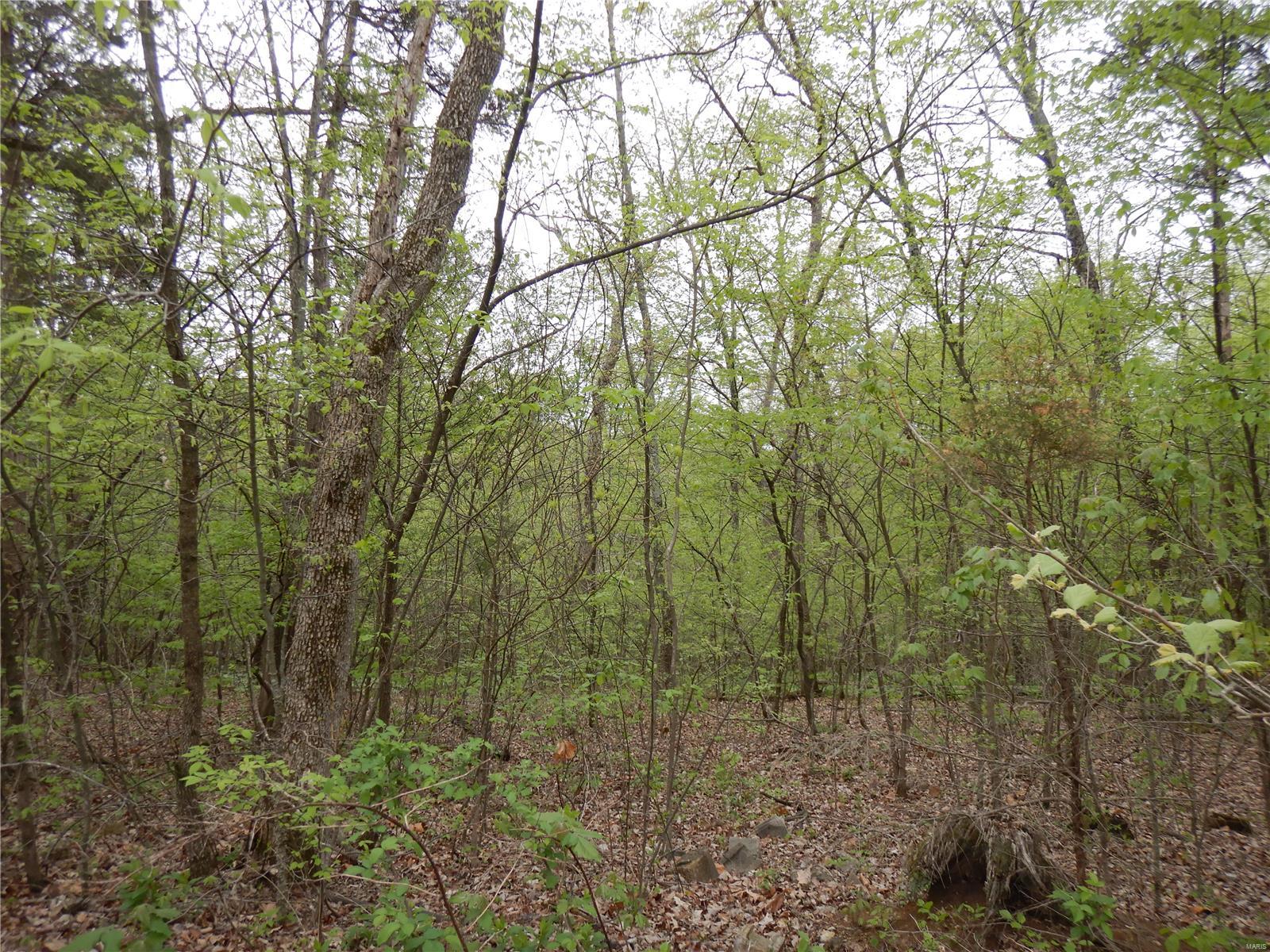 Nestled in the woods these 11+ acres offer you the privacy you could only hope for. Build the home you always wanted! Just a quick drive to area wineries, Missouri River recreation and local airport, you will enjoy living here! Plan on building your own hunting cabin or private estate.